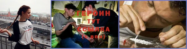 стаф Новодвинск