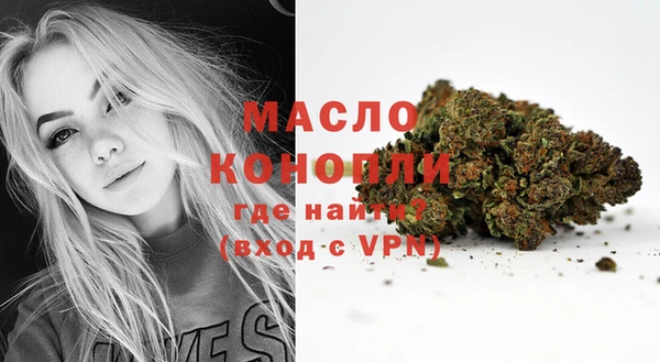 стаф Новодвинск