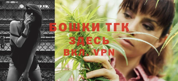 спиды Новозыбков