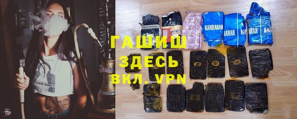 стаф Новодвинск