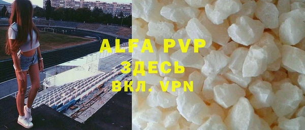 спиды Новозыбков