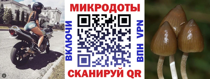 Псилоцибиновые грибы прущие грибы  даркнет как зайти  Клинцы 