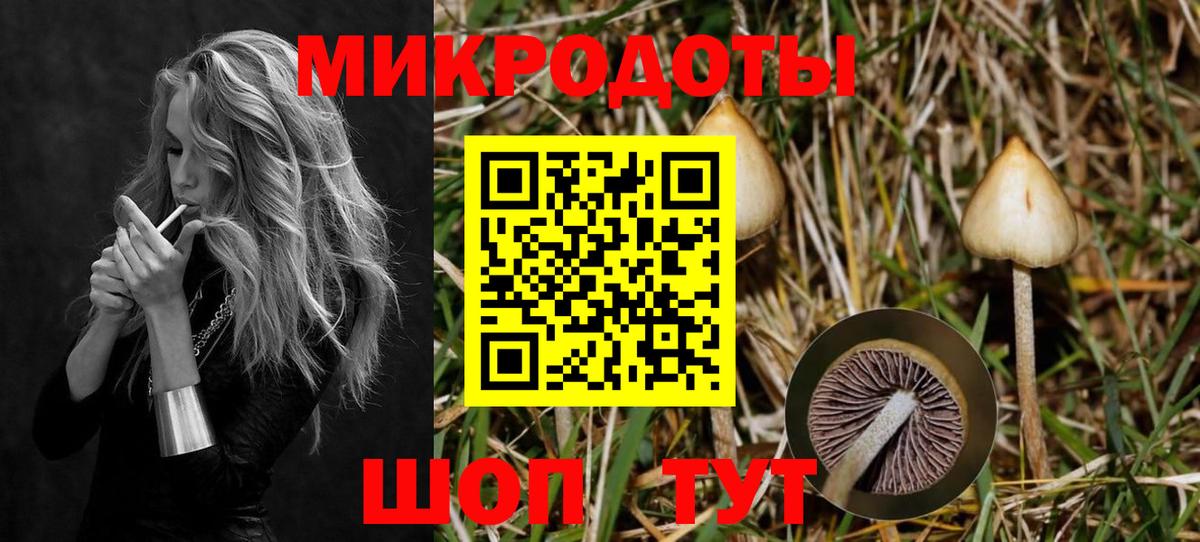 Клинцы  Псилоцибиновые грибы Cubensis  Вход с VPN 